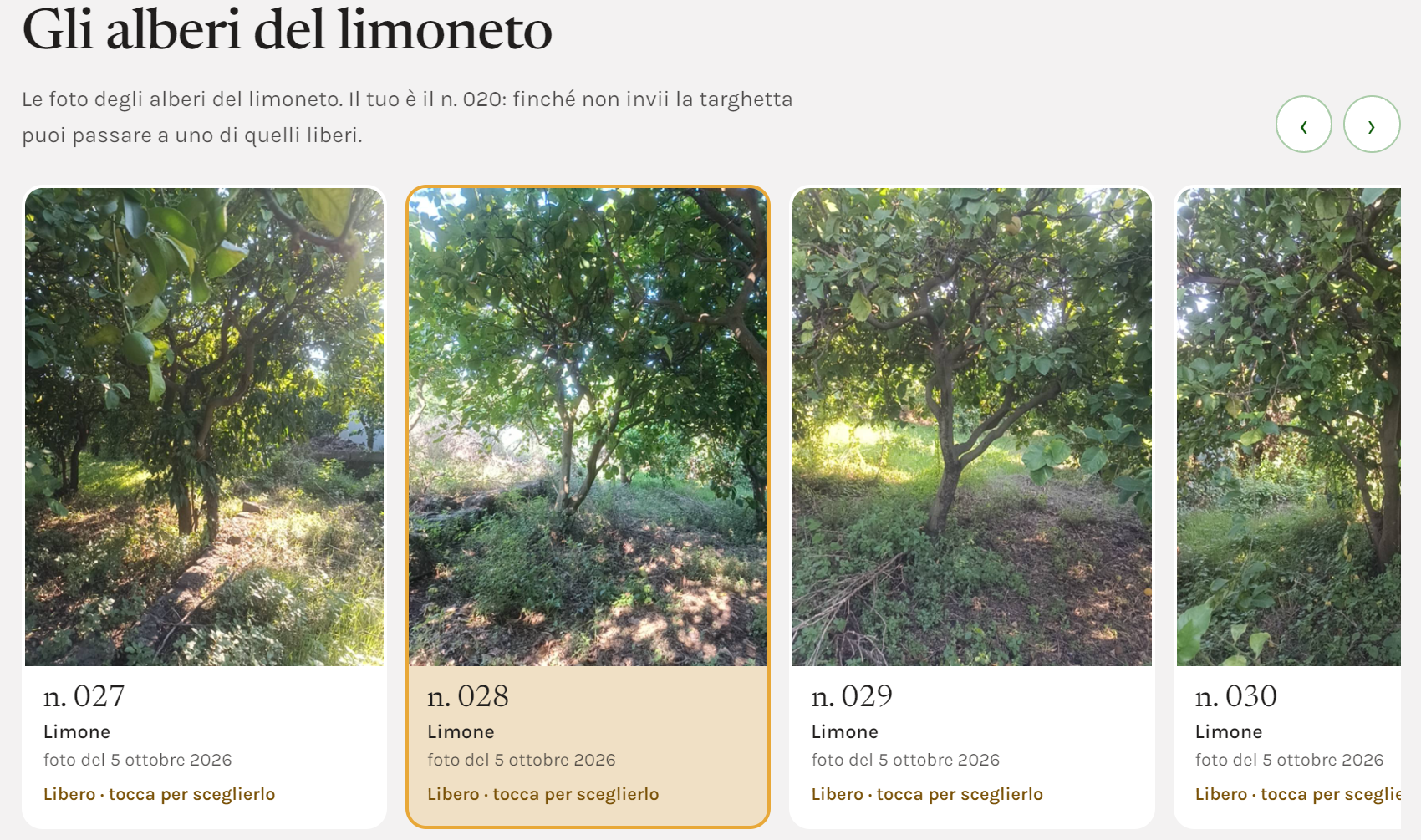 L'area riservata: lo slider con le foto degli alberi del limoneto, da cui scegli il tuo albero