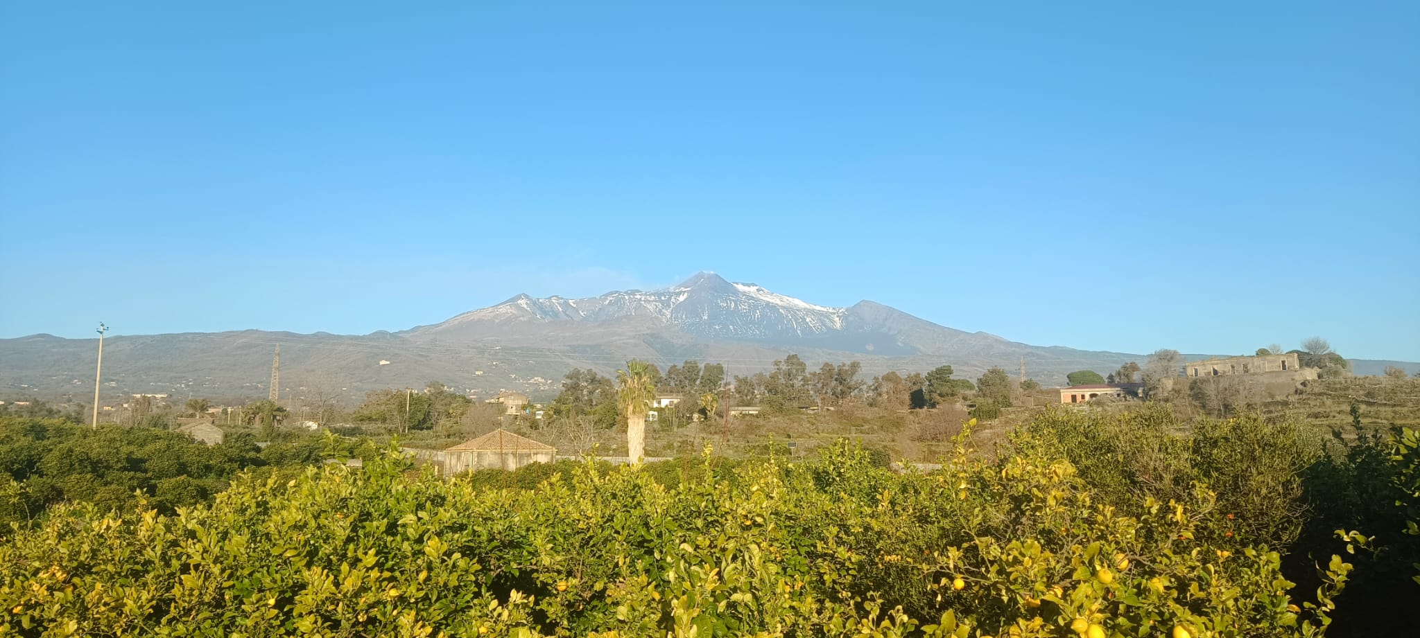 L'Etna innevato e il limoneto carico di frutti in una giornata serena